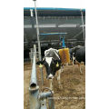 Animal Husbandry Machinery Cleaning Can be Customized Electric Cow Body Brush